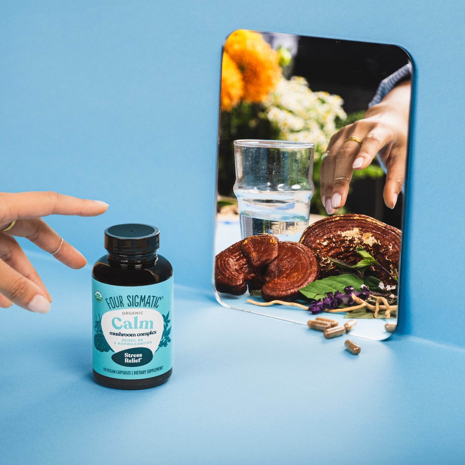 calm-capsules-u6 calm-capsule-1.jpg
